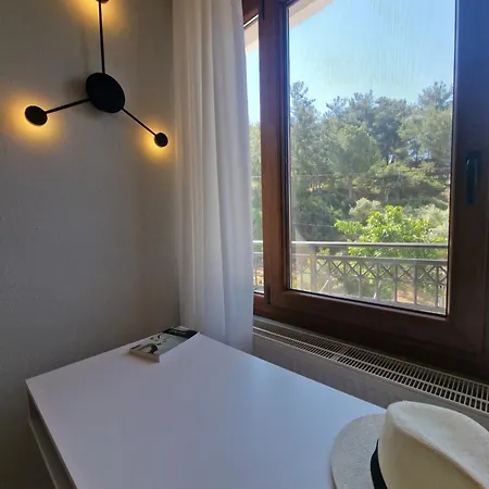 Apartman Chatzis *